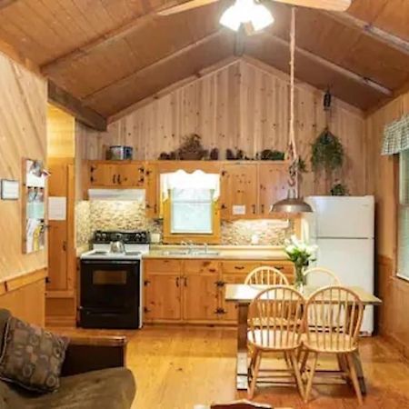 Cozy Cabin: River View With Hot Tub ダロネガ エクステリア 写真