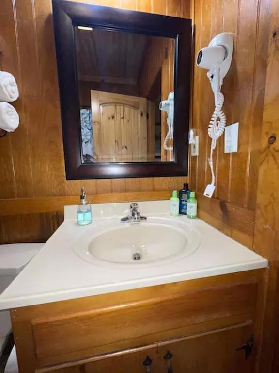 Cozy Cabin: River View With Hot Tub ダロネガ エクステリア 写真