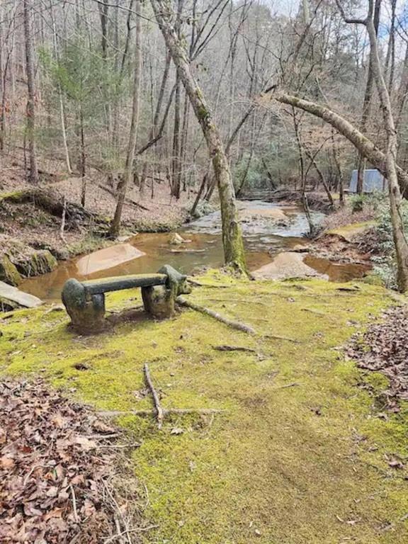 Cozy Cabin: River View With Hot Tub ダロネガ エクステリア 写真