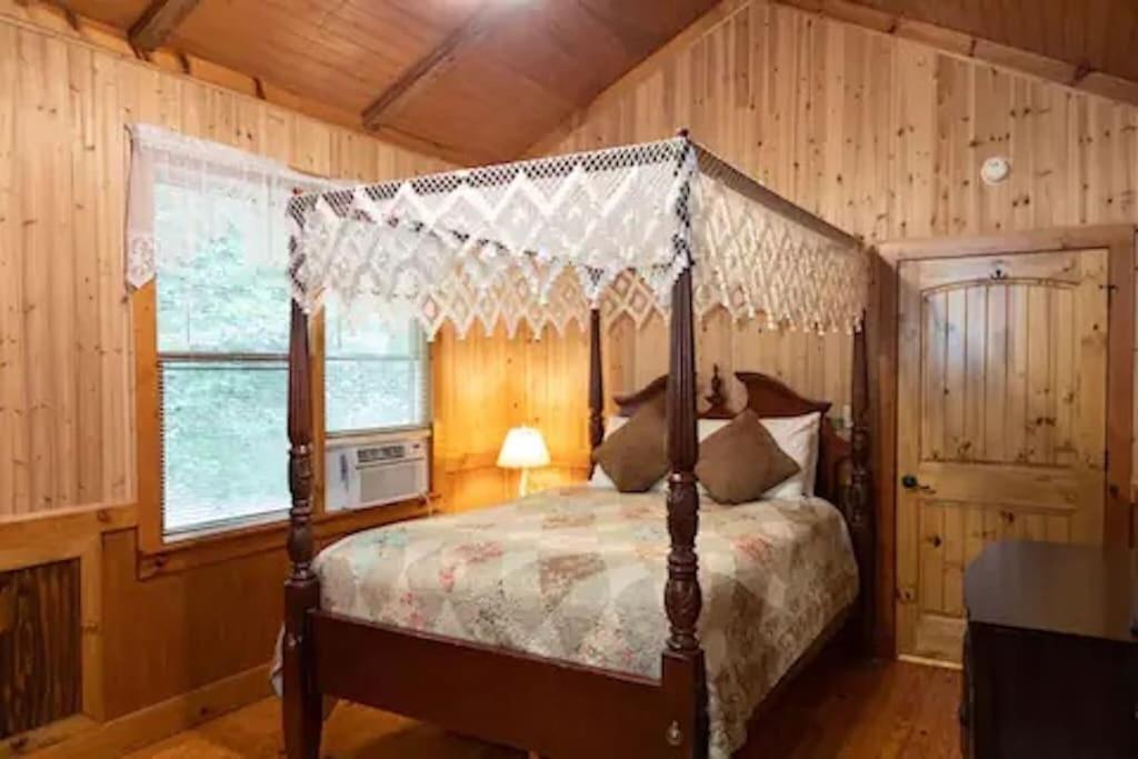 Cozy Cabin: River View With Hot Tub ダロネガ エクステリア 写真